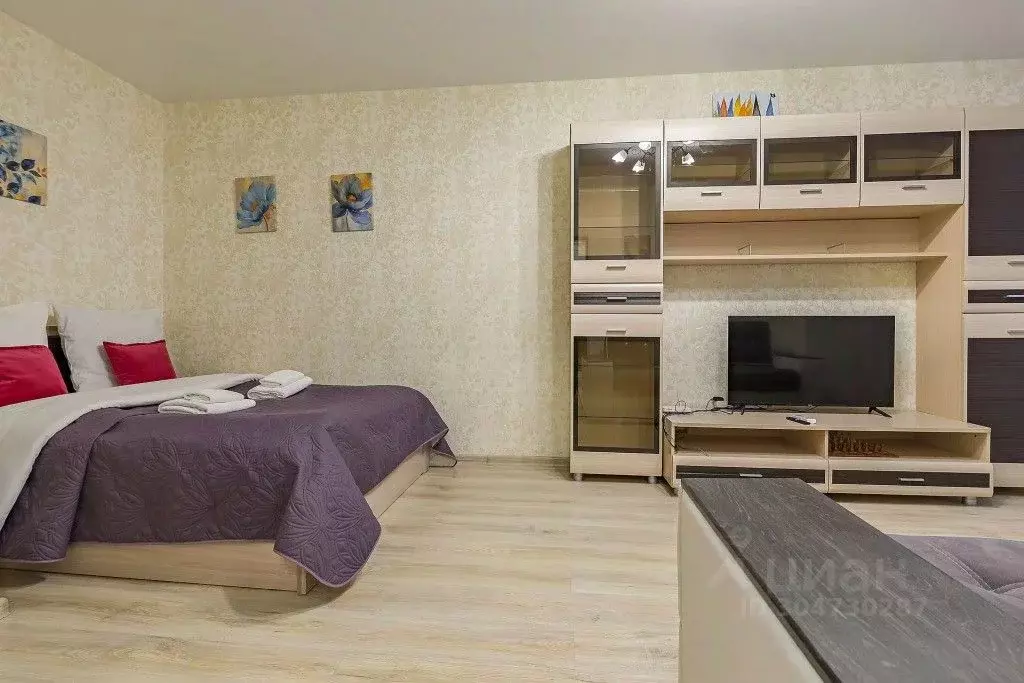 1-к кв. Нижегородская область, Нижний Новгород Московское ш., 33А ... - Фото 2