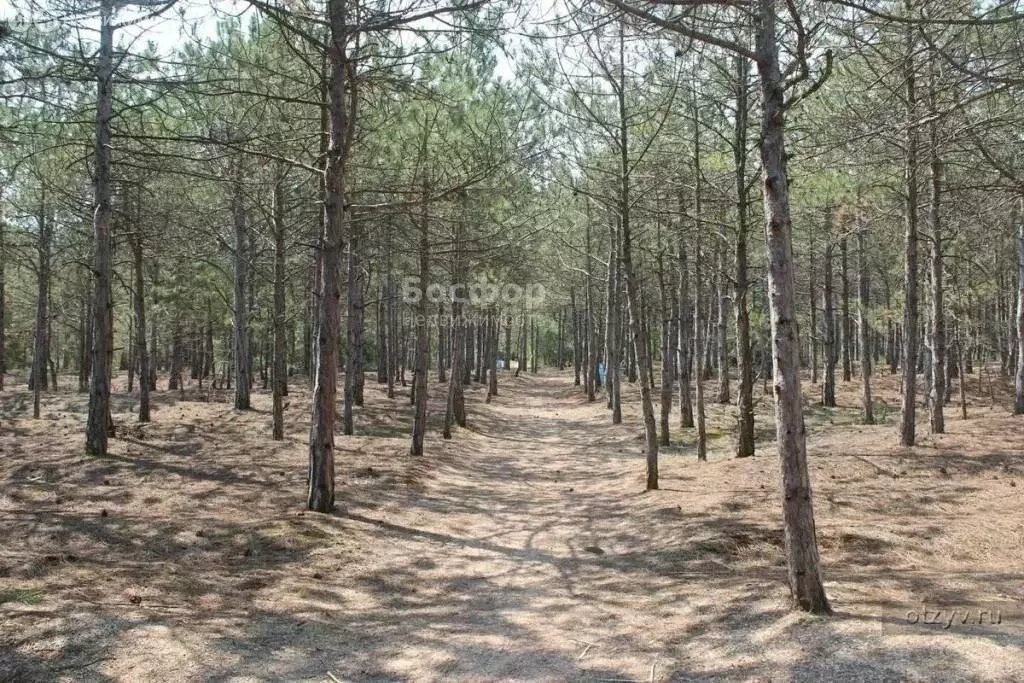 Участок в Останинское сельское поселение, село Песочное (15 м) - Фото 1