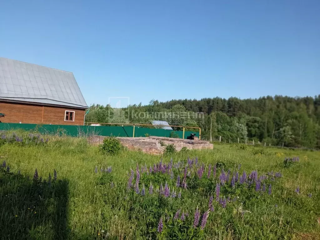 Участок в Владимирская область, Гусь-Хрустальный муниципальный округ, ... - Фото 1