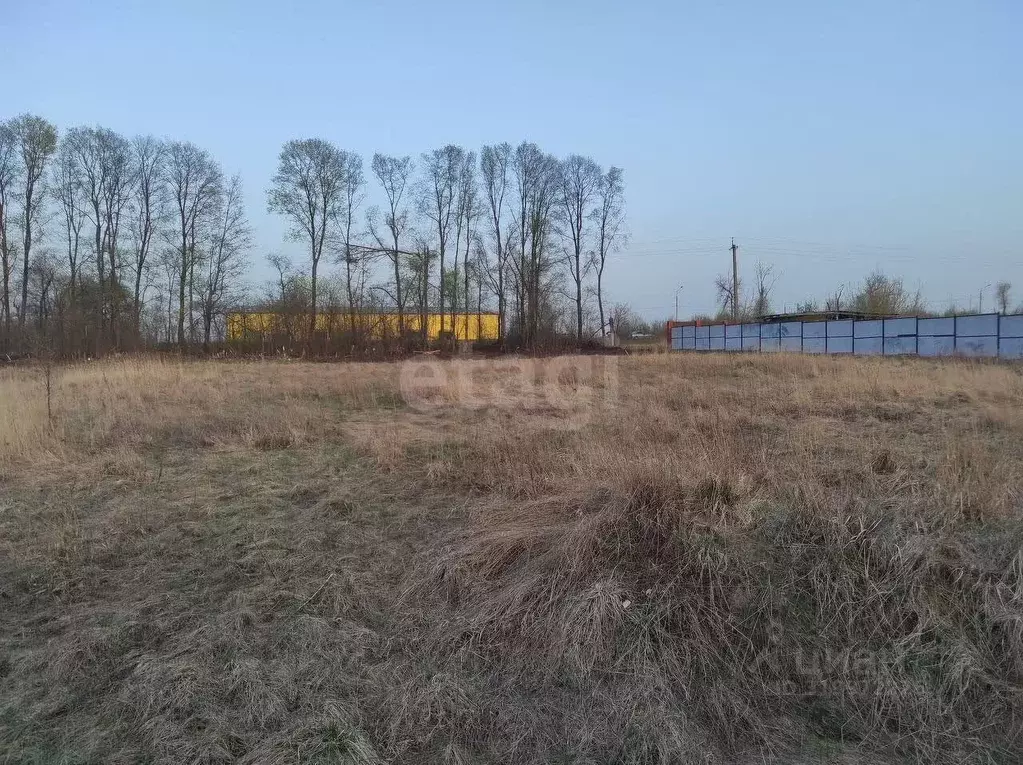 Участок в Курская область, Курский район, Новопоселеновский сельсовет, ... - Фото 0