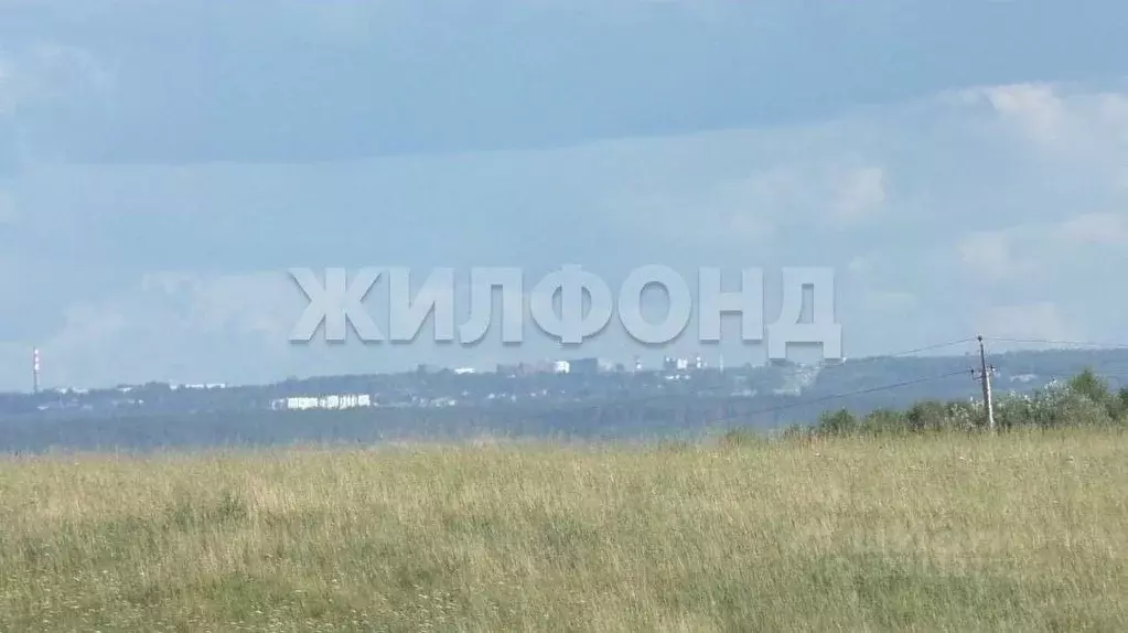 Участок в Новосибирская область, Колыванский район, с. Сидоровка Новая ... - Фото 2