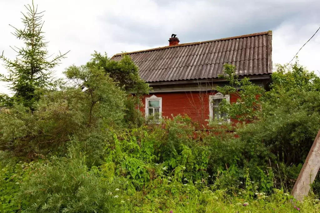 Дом в Новгородская область, Малая Вишера Комсомольская ул., 68 (31 м) - Фото 1
