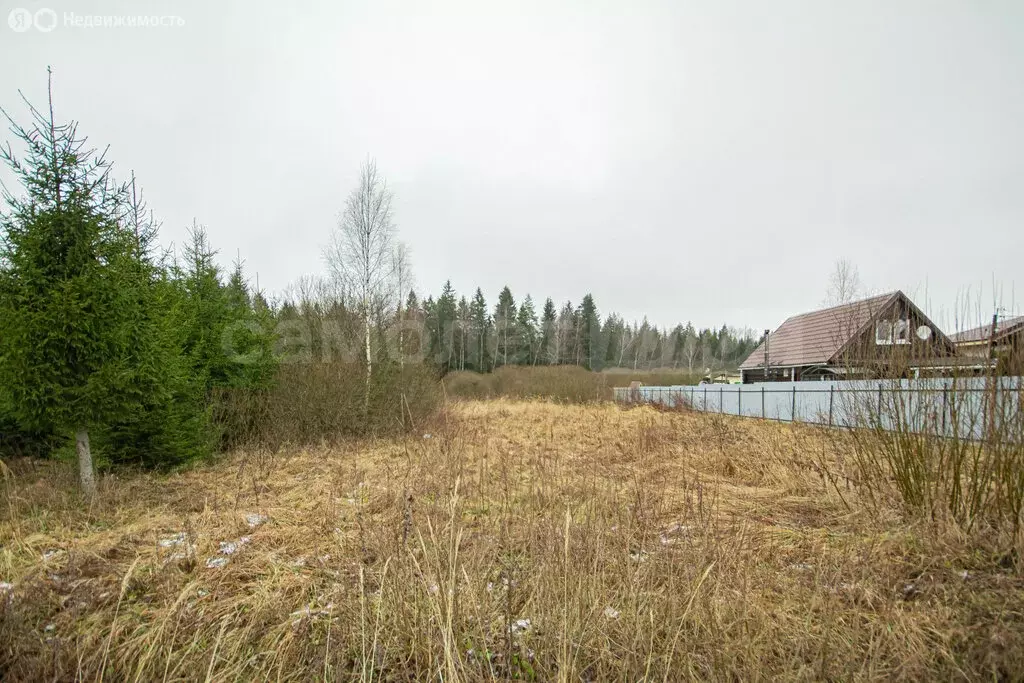 Участок в Наро-Фоминский городской округ, деревня Монаково (15 м) - Фото 2