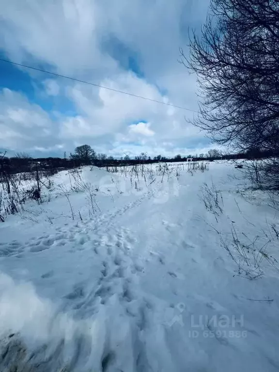 Участок в Тульская область, Новомосковский район, с. Иван-Озеро  (18.0 ... - Фото 0