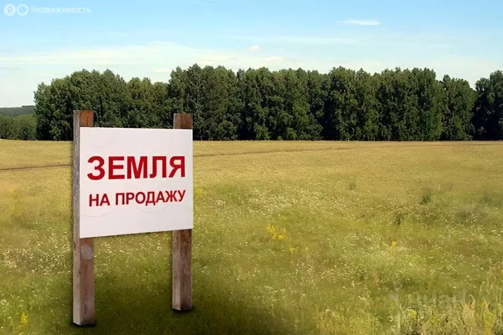 Участок в деревня 1-я Моква, коттеджный посёлок 1-я Моква, Амурская ... - Фото 2