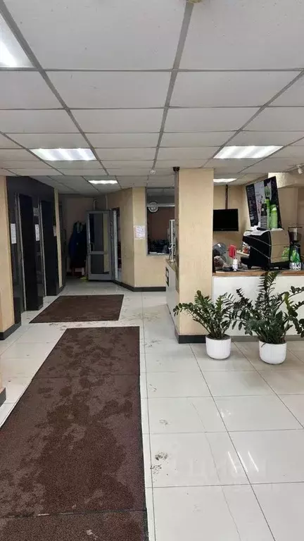 Офис в Новосибирская область, Новосибирск ул. Крылова, 36 (50 м) - Фото 1