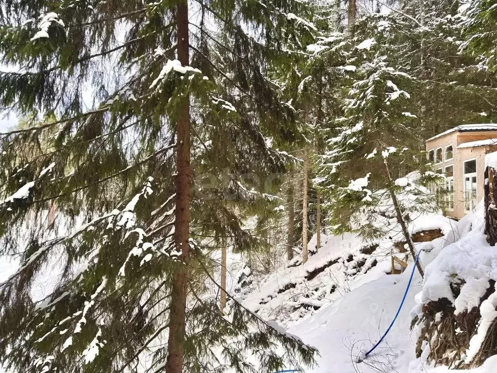 Участок в Санкт-Петербург пос. Репино, Ленгипроречтранс СНТ, ул. ... - Фото 1