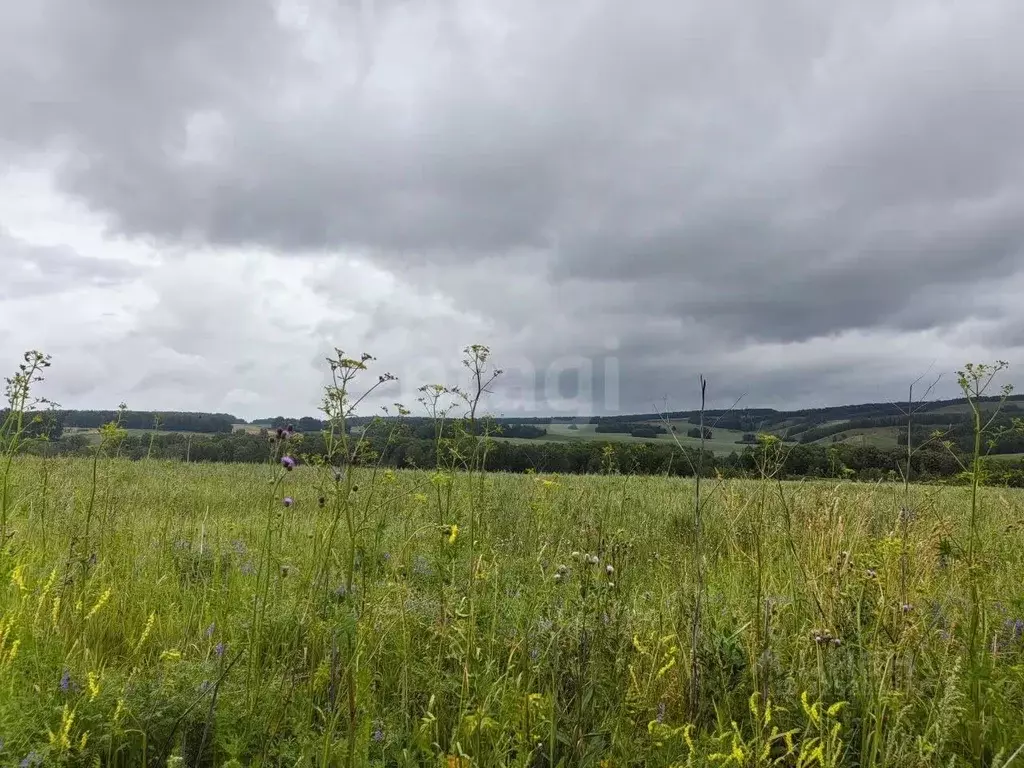 Участок в Красноярский край, Красноярск городской округ, пос. Элита ... - Фото 1
