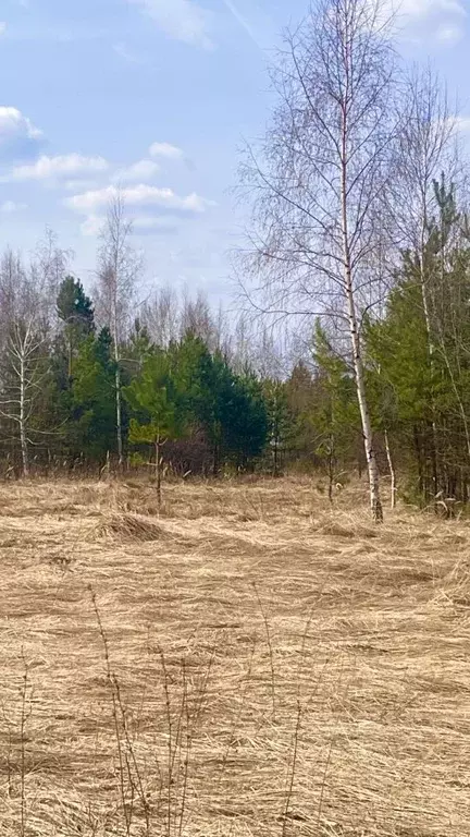 Участок в Нижегородская область, Кстовский муниципальный округ  (10.0 ... - Фото 1