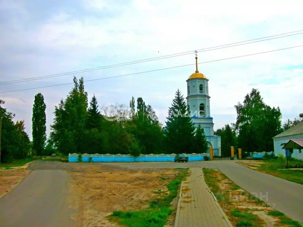 Участок в Воронежская область, Верхнехавский район, с. Углянец ул. 9 ... - Фото 1