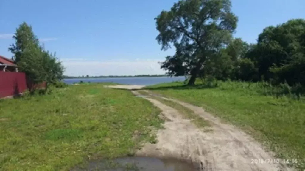 Участок в Амурская область, Благовещенский район, с. Новопетровка ... - Фото 2