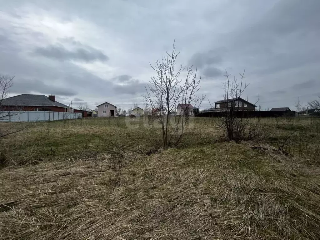 Участок в Воронежская область, Борисоглебск ул. Славянская, 5 (6.4 ... - Фото 1