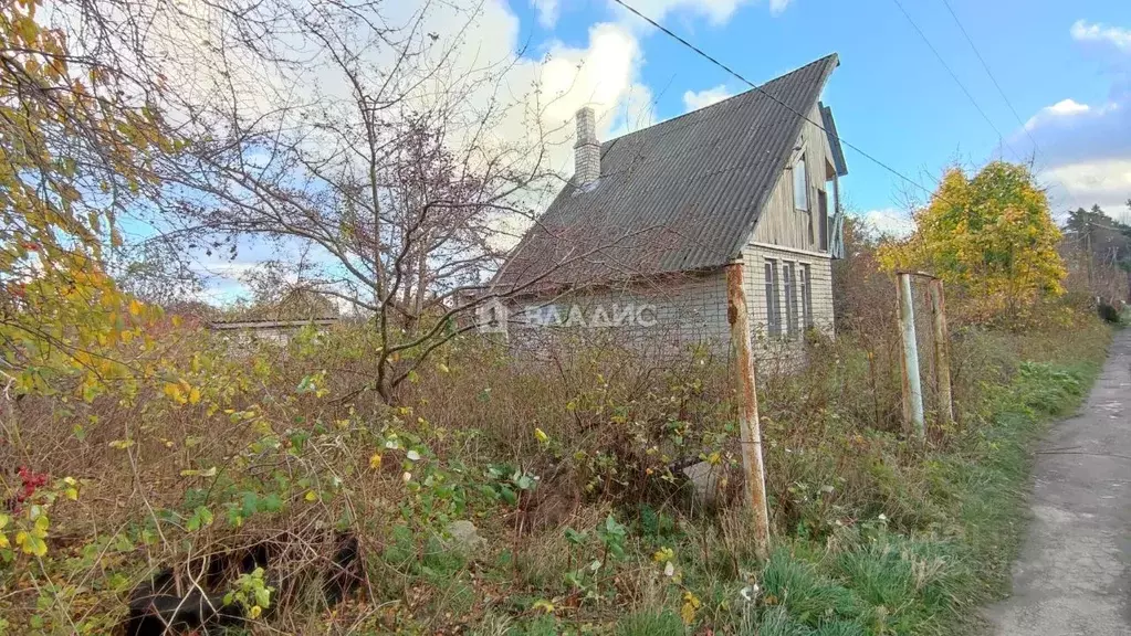Участок в Калининградская область, Светлогорск Радуга СНТ, 8-я линия, ... - Фото 1