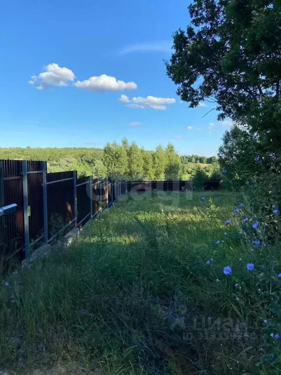 Участок в Калужская область, Калуга городской округ, д. Нижняя Вырка ... - Фото 0