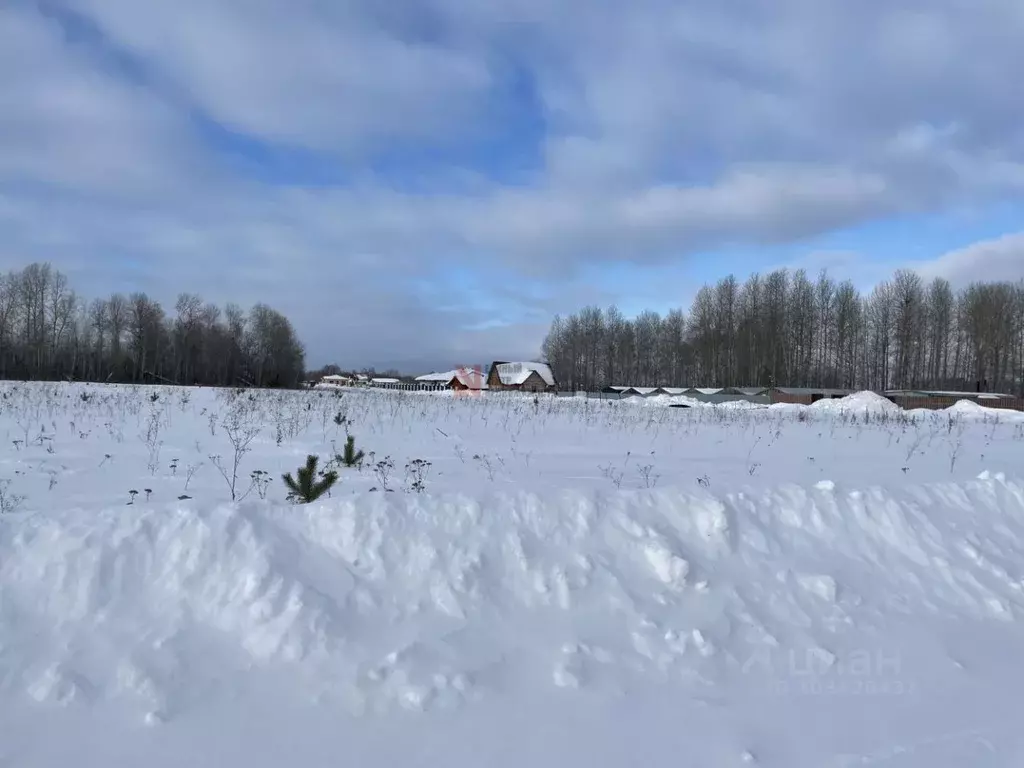 Участок в Тюменская область, Тюменский район, Новокаменский кп ул. ... - Фото 1