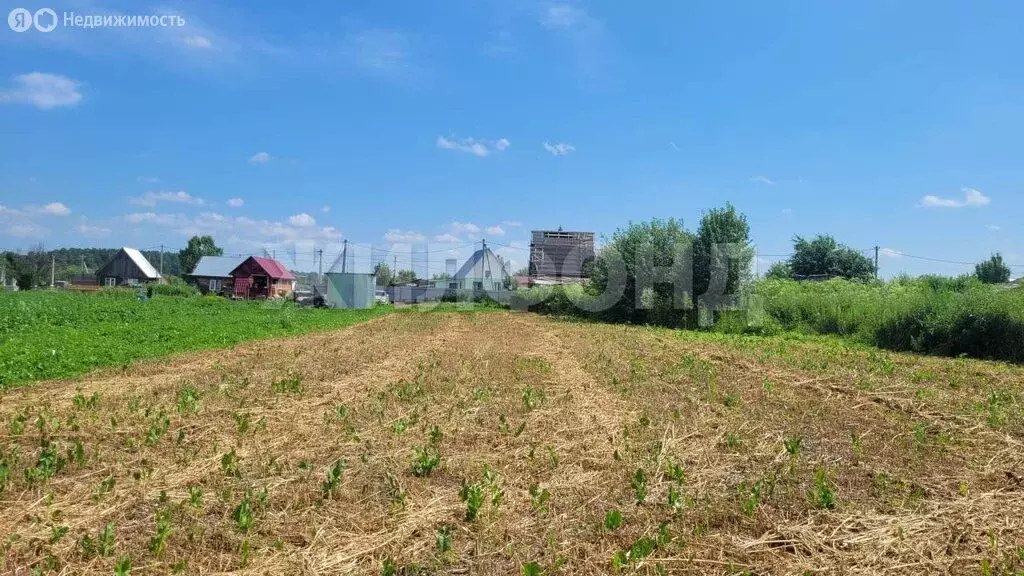 Участок в Новосибирский район, Берёзовский сельсовет, село Берёзовка, ... - Фото 0
