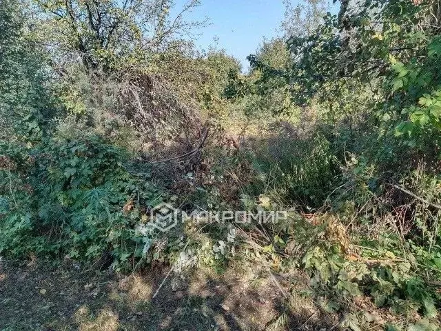 Дом в Брянская область, Брянский район, Супоневское с/пос, Рассвет СДТ ... - Фото 1