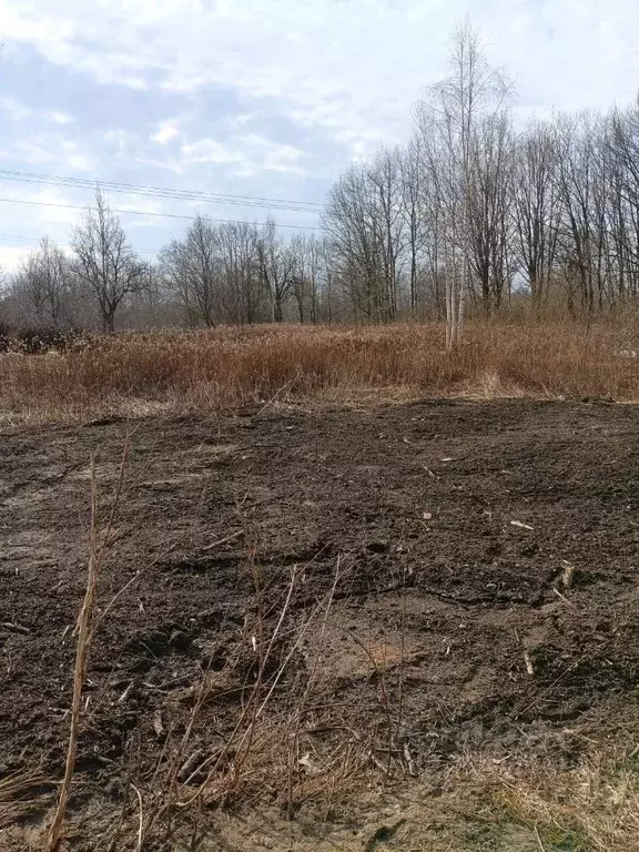 Участок в Калининградская область, Калининград Ивушка СНТ, 65 (7.9 ... - Фото 2