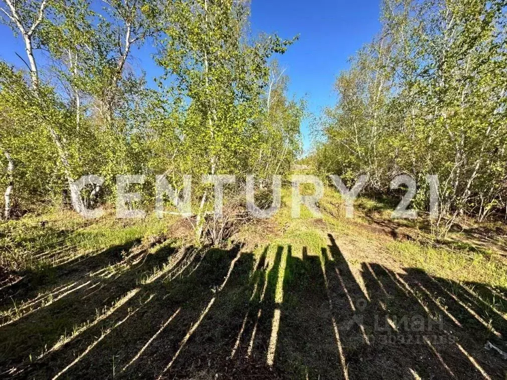 Участок в Саха (Якутия), Якутск ул. Алтайская (8.0 сот.) - Фото 0