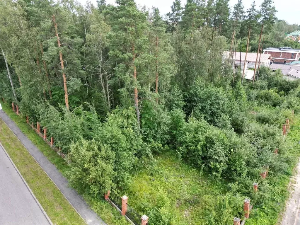 Участок в Санкт-Петербург, Санкт-Петербург, Зеленогорск Выборгский ... - Фото 1