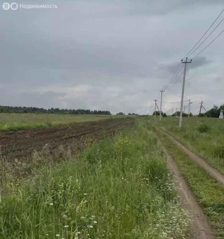 Участок в Свердловская область, муниципальный округ Староуткинск, ... - Фото 0