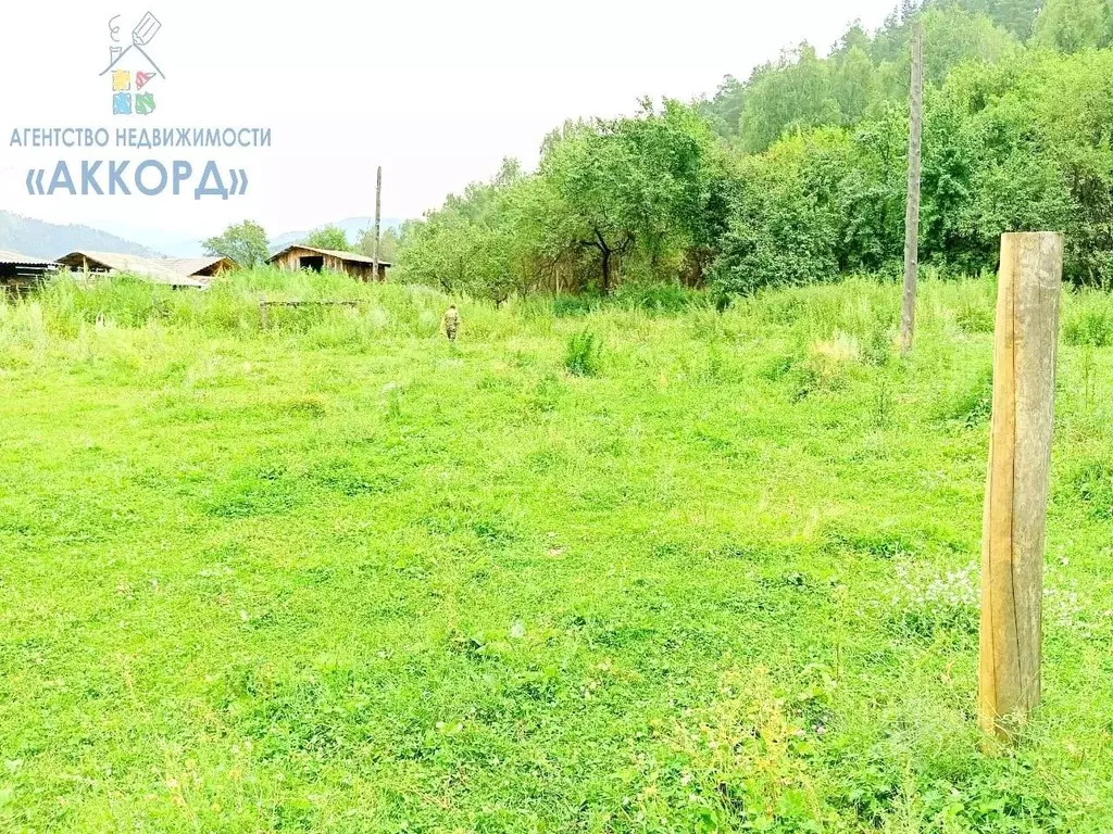 Участок в Алтай, Чемальский район, с. Анос Молодежная ул. (10.0 сот.) - Фото 2