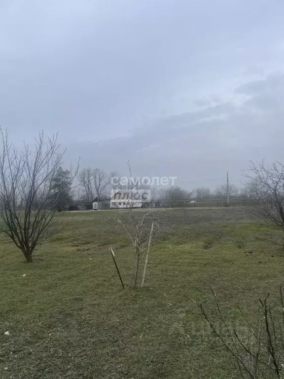 Участок в Краснодарский край, Анапа муниципальный округ, с. Юровка ул. ... - Фото 2