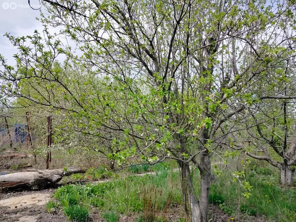 Дом в Волжский, СНТ Радуга, улица Отдыха (30 м) - Фото 1