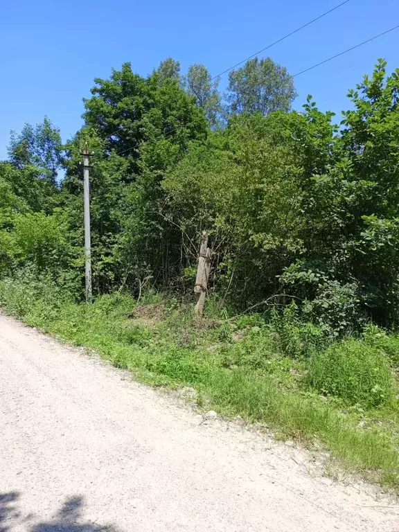 Участок в Краснодарский край, Белореченский район, Пшехское с/пос, ... - Фото 2