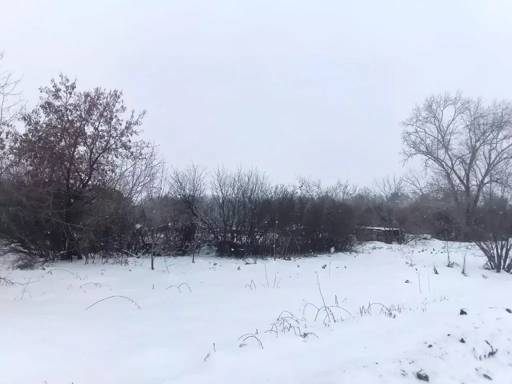 Участок в Омская область, Горьковский район, д. Березовка Лесная ул., ... - Фото 1