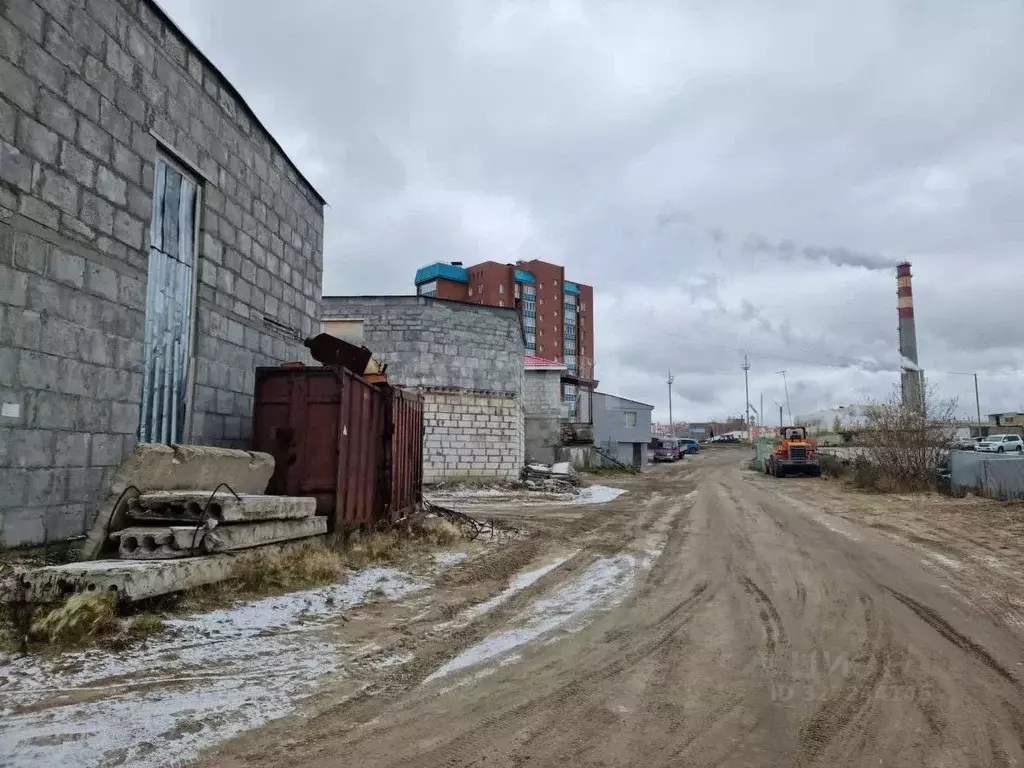 Помещение свободного назначения в Ямало-Ненецкий АО, Новый Уренгой ... - Фото 2