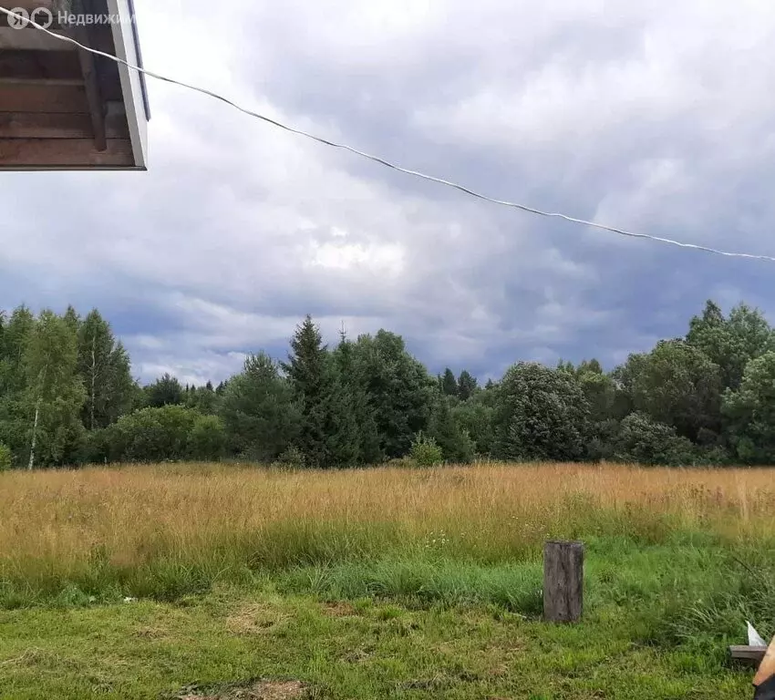 Участок в Вологодская область, Кирилловский муниципальный округ, ... - Фото 0
