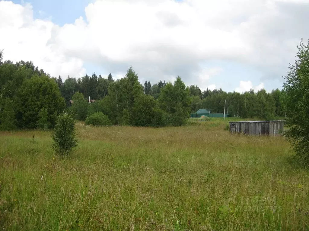 Участок в Московская область, Рузский муниципальный округ, д. Барынино ... - Фото 1