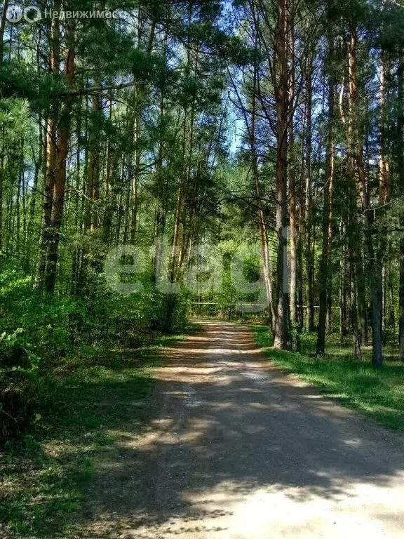 Участок в Суворовский район, муниципальное образование ... - Фото 1