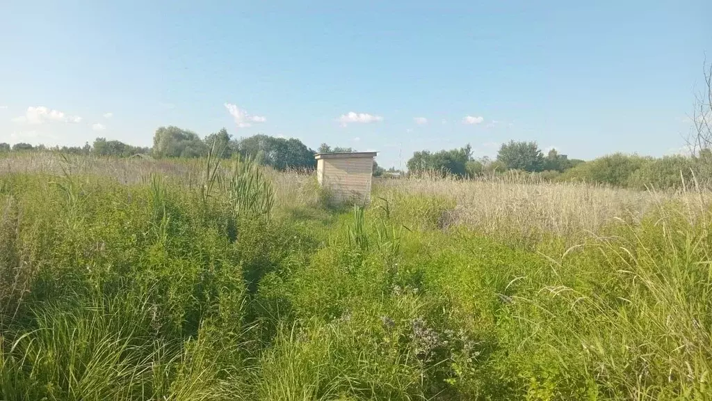 Участок в Владимирская область, Собинский муниципальный округ, Новое ... - Фото 0