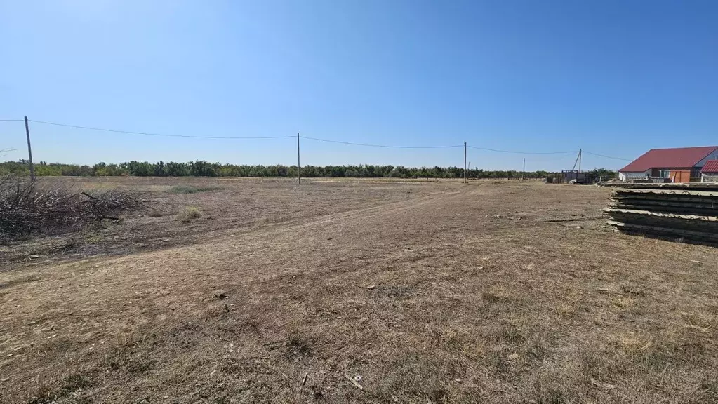 Участок в Саратовская область, Федоровский район, Мокроус рп ... - Фото 1