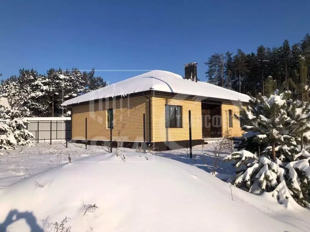 Дом в Воронежская область, Рамонский район, Новоживотинновское с/пос, ... - Фото 1