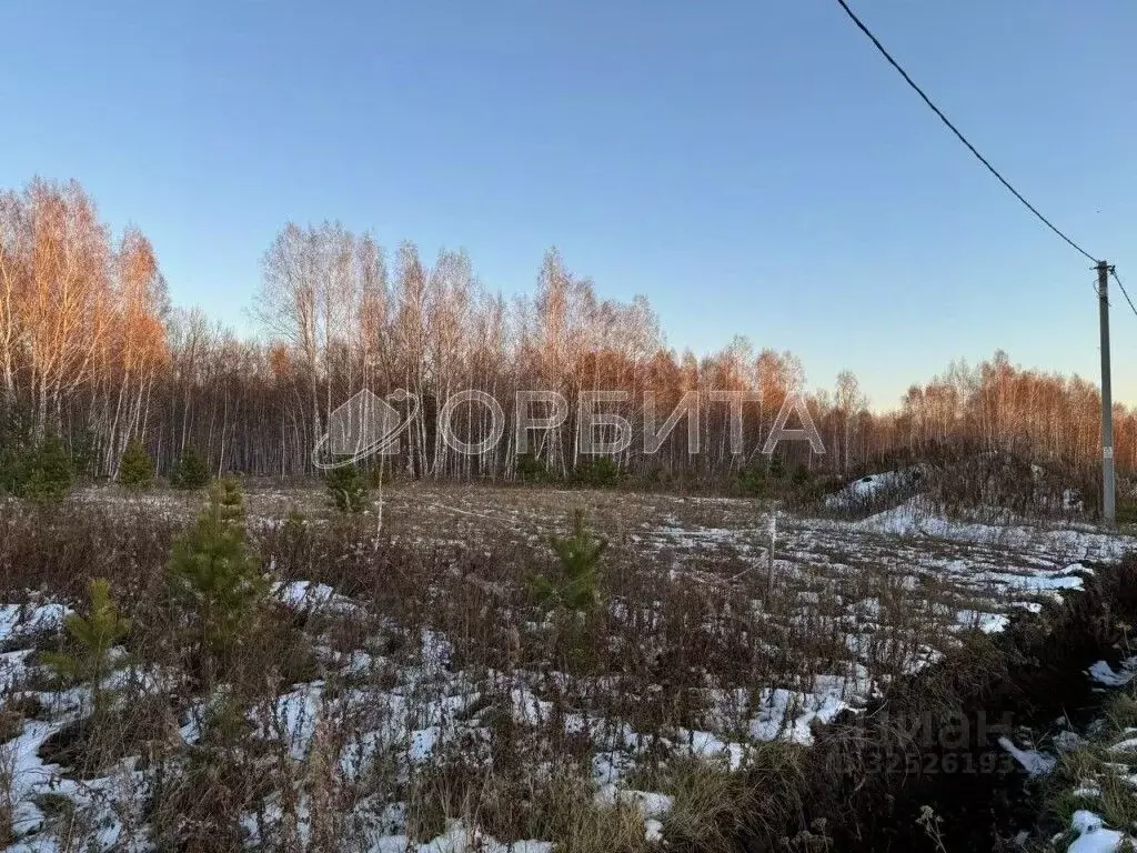Участок в Тюменская область, Тюмень Большое Царево-2 СНТ, ул. Чистая ... - Фото 2