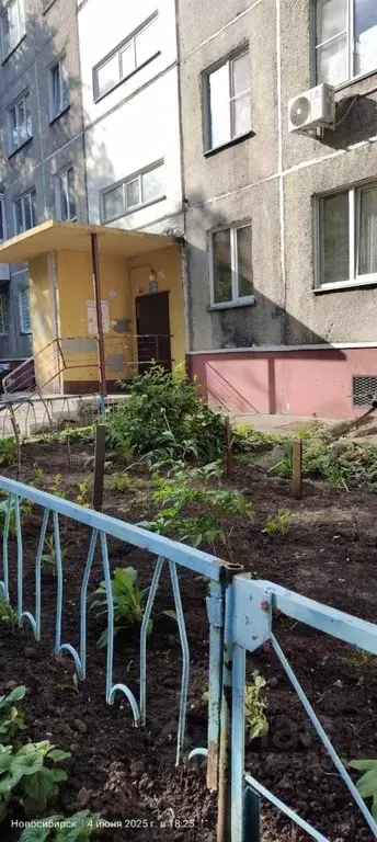 3-к кв. Новосибирская область, Новосибирск ул. Бориса Богаткова, 219 ... - Фото 0