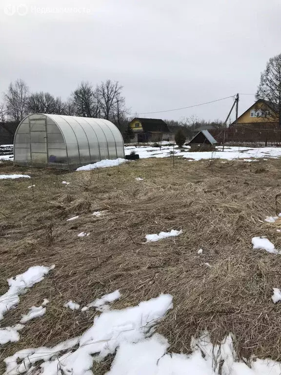 участок в борковское сельское поселение, деревня чайка (14.4 м) - Фото 1