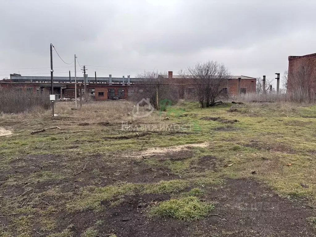 Участок в Краснодарский край, Ейское городское поселение, пос. ... - Фото 2