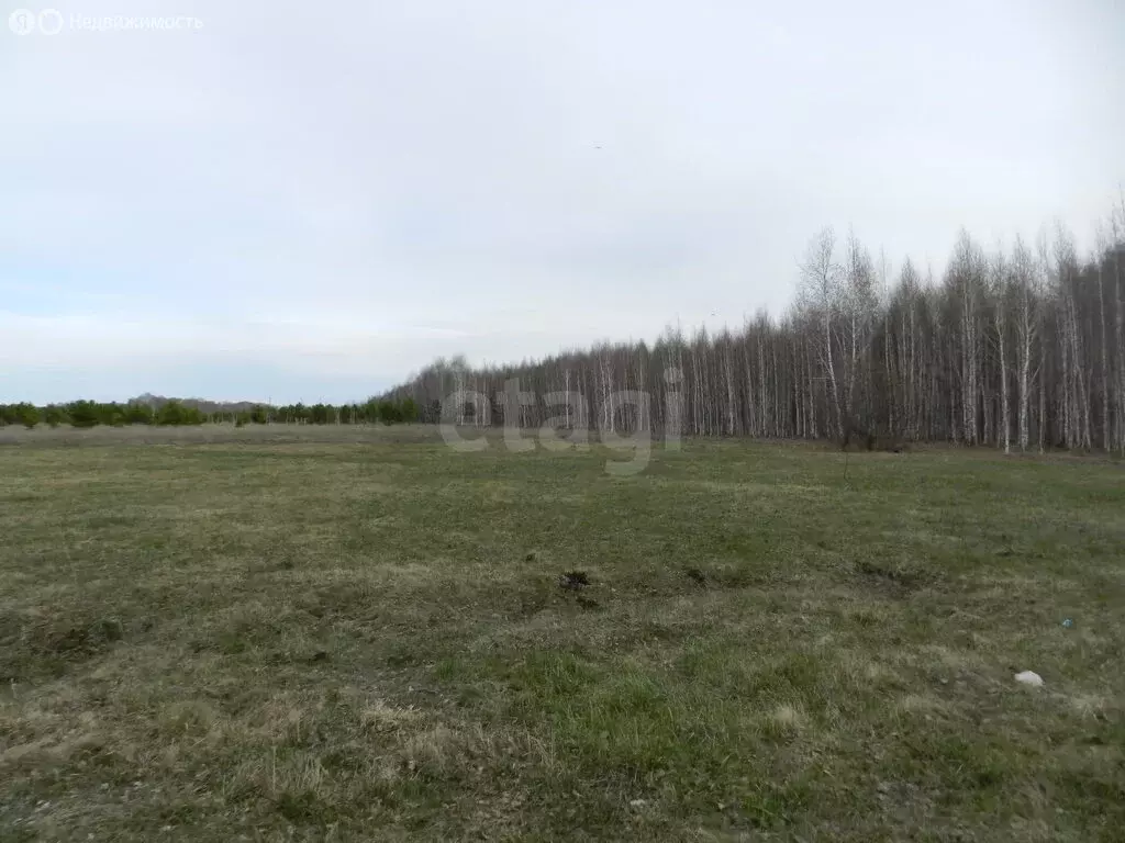 Участок в Курганская область, Кетовский муниципальный округ, ... - Фото 2
