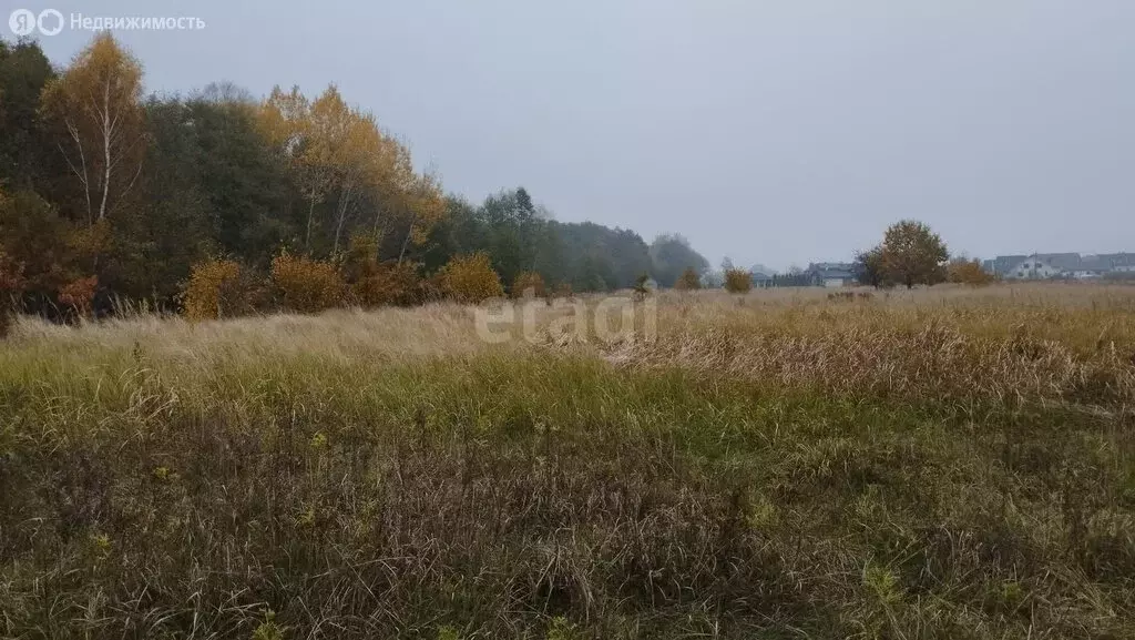 Участок в Калининградская область, Славский муниципальный округ, ... - Фото 0