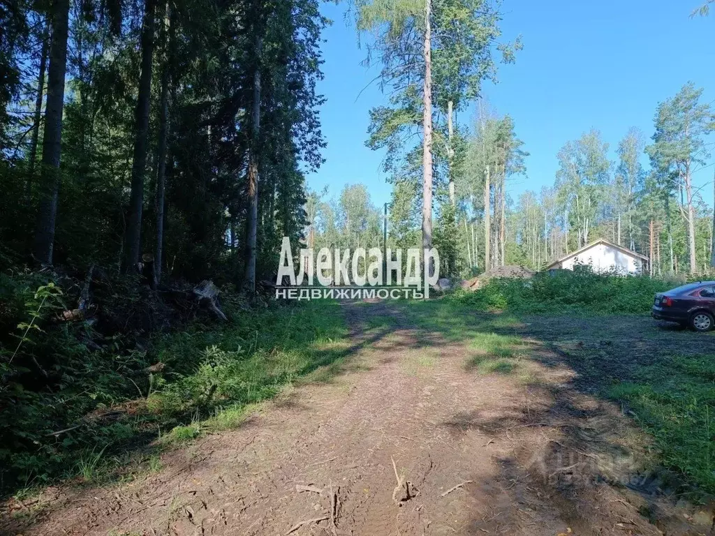 Участок в Ленинградская область, Выборгский район, Селезневское с/пос, ... - Фото 1