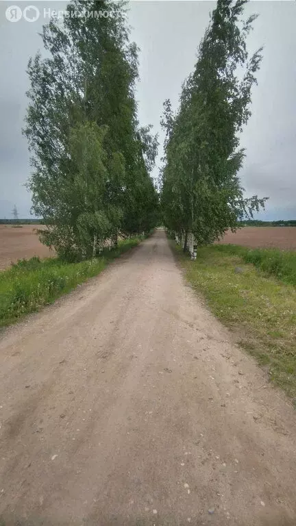 Участок в Вологодский муниципальный округ, посёлок Заря (20 м) - Фото 1