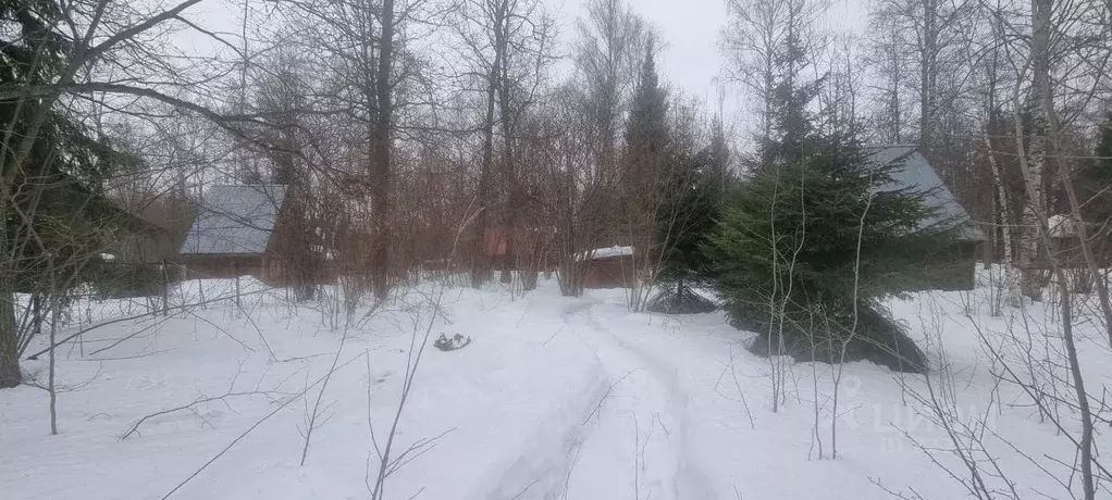 Дом в Московская область, Дмитровский городской округ, Дубровка кп 281 ... - Фото 1