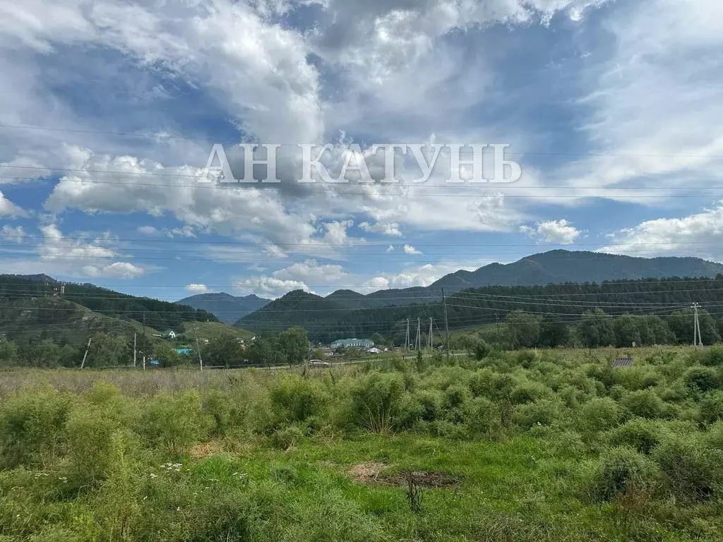 Участок в Алтай, Чемальский район, Аносинское с/пос  (10.0 сот.) - Фото 1