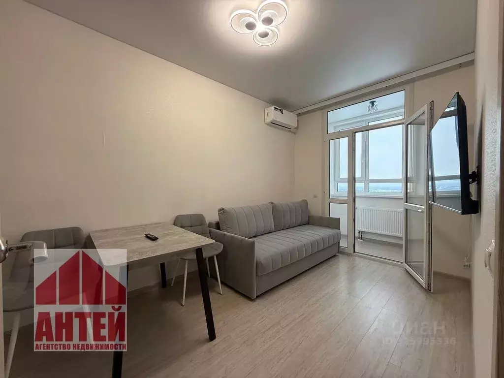 1-к кв. Нижегородская область, Нижний Новгород д. Анкудиновка, ул. ... - Фото 1