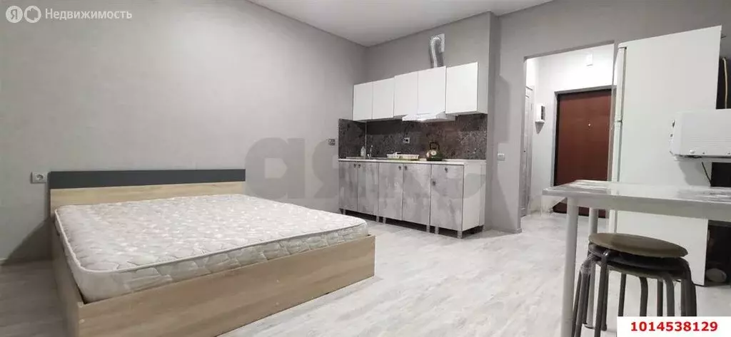 Квартира-студия: Краснодар, улица Лётчика Позднякова, 2к15 (24.1 м) - Фото 1