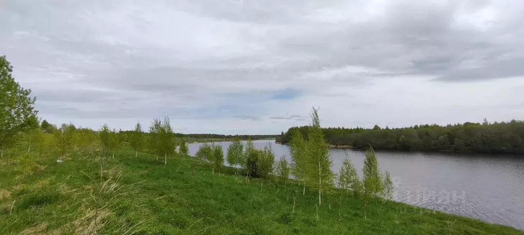 Участок в Смоленская область, Сычевский муниципальный округ, д. ... - Фото 0